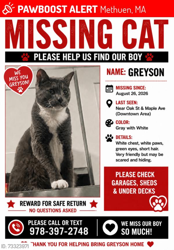 Lost Male Cat last seen Near Oak and Maple ave, Methuen, MA 01844