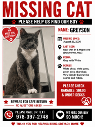 Lost Male Cat last seen Near Oak and Maple ave, Methuen, MA 01844