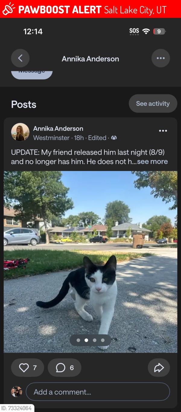 Lost Female Cat last seen Downington, Salt Lake City, UT 84105