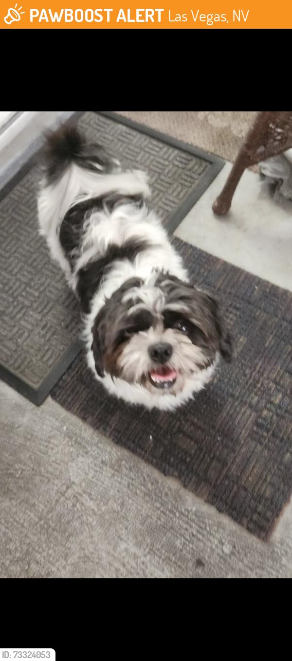 Found/Stray Male Dog last seen SAHARA and santa rosa, Las Vegas, NV 89104