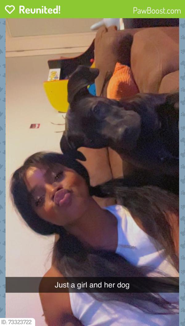 Reunited Female Dog last seen 136th and holgate, Portland, OR 97236