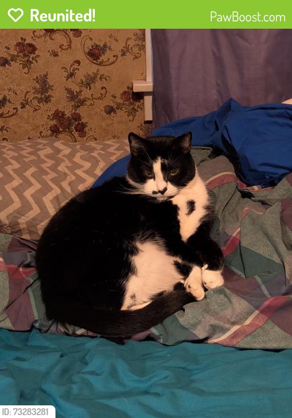 Reunited Male Cat last seen Edgewater and W 110th, Cleveland, OH 44102