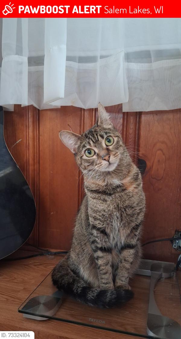 Lost Female Cat last seen Last seen outside of a gas station in Salem Wisconsin, Salem Lakes, WI 53168