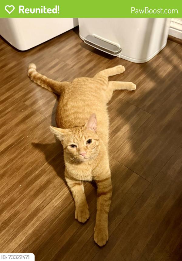 Reunited Male Cat last seen Christ Church Cranbrook, Bloomfield Hills, MI 48304