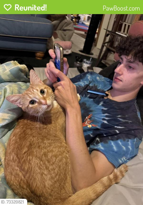 Reunited Male Cat last seen Blue Ridge Acres, Harpers Ferry, WV 25425