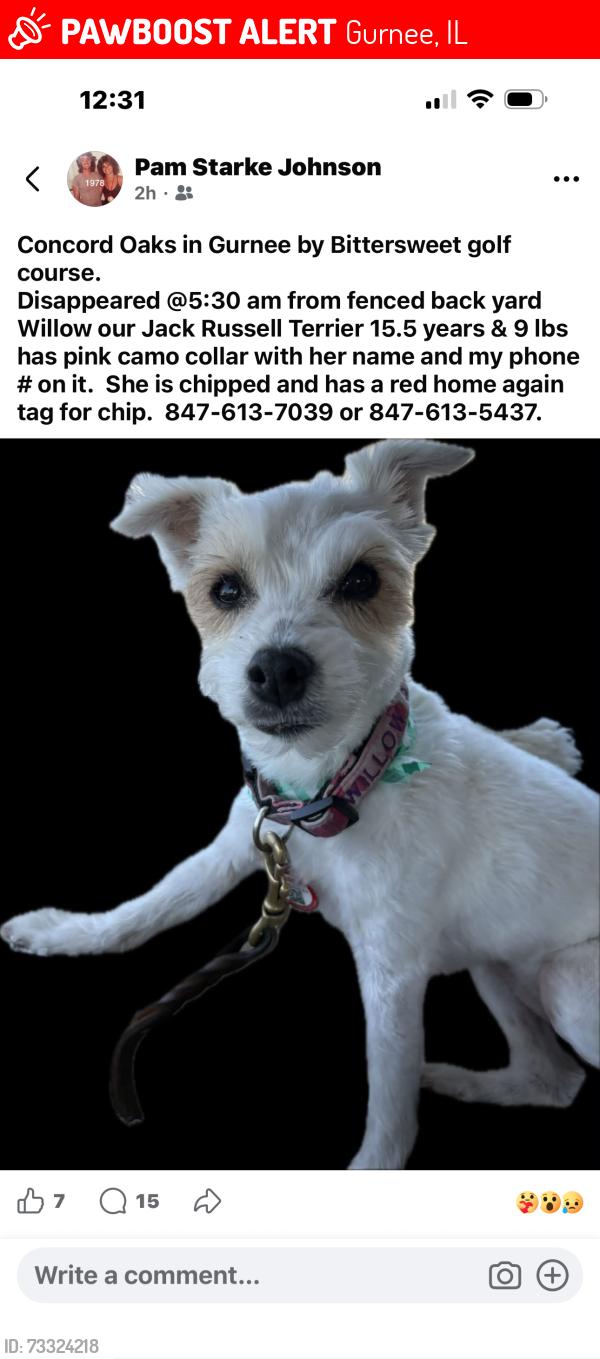 Lost Female Dog last seen Dada/Almond, Gurnee, IL 60031