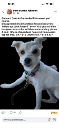 Lost Female Dog last seen Dada/Almond, Gurnee, IL 60031