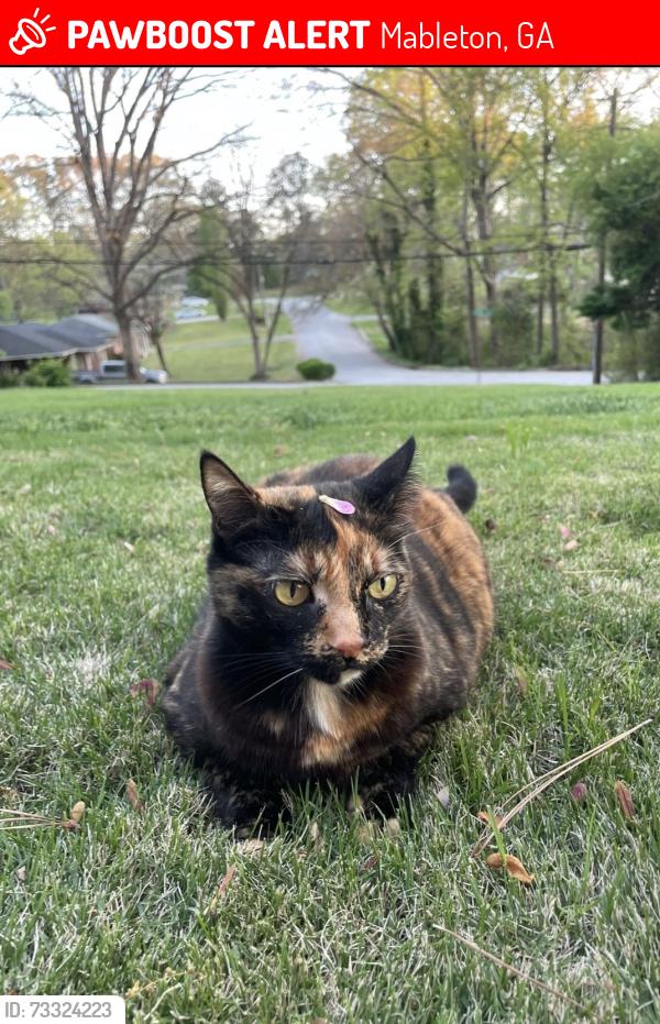 Lost Female Cat last seen Driskell Ave Sw Mableton GA, Mableton, GA 30126