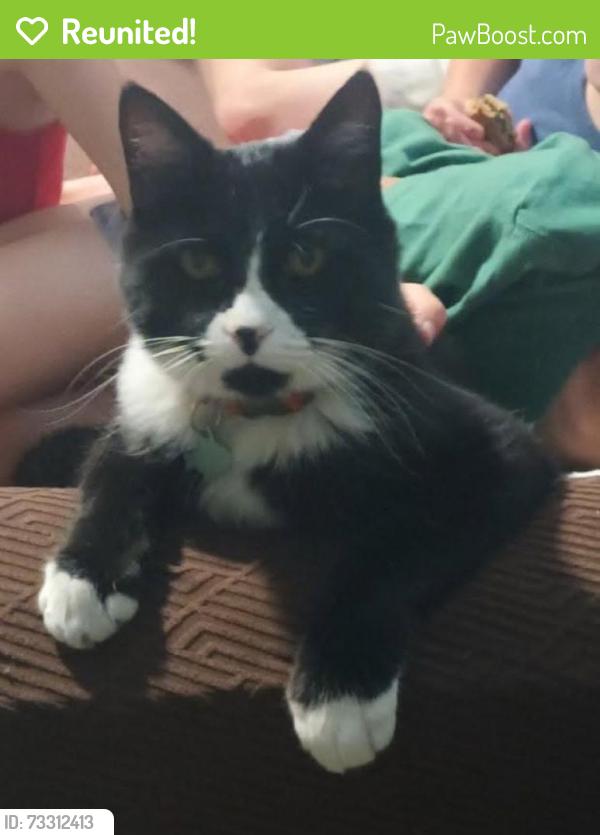 Reunited Male Cat last seen South Jordan Canal on 70th South, West Jordan, UT 84084