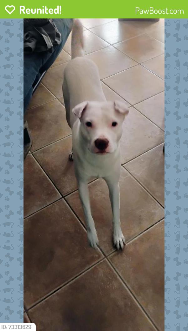 Reunited Male Dog last seen Sundance pkwy and 229th lane, Buckeye, AZ 85326