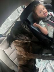 Found/Stray Male Dog last seen Near George St - Sunray water tower, Frostproof, FL 33843