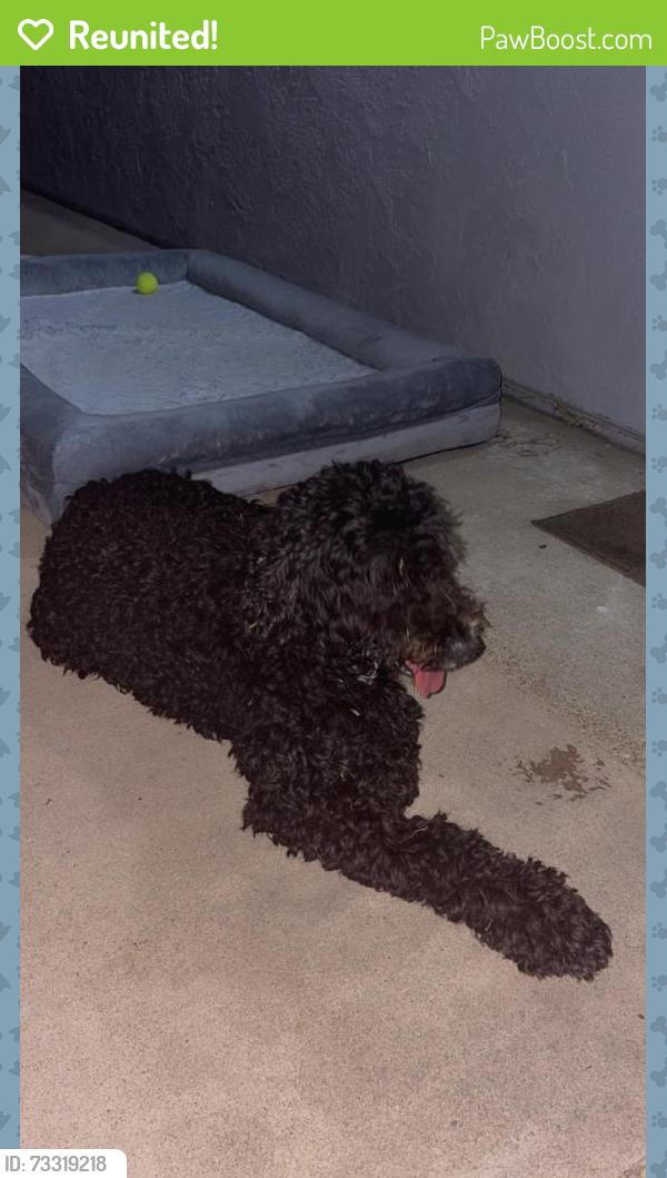 Reunited Female Dog last seen Near, San Diego, CA 92173