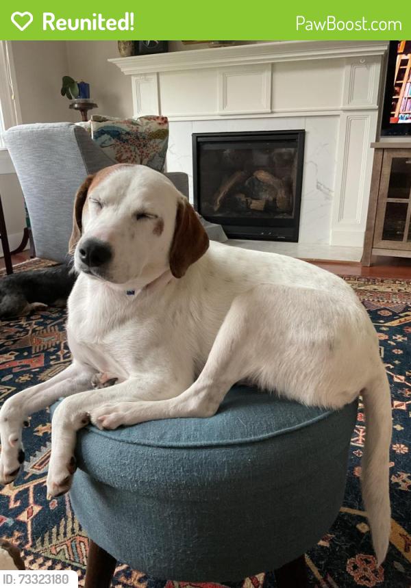 Reunited Female Dog last seen Wiley Mangum rd, Durham County, NC 27503