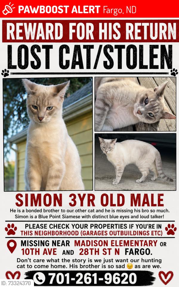Lost Male Cat last seen 10th Ave n and 28th st N, Fargo, ND 58102