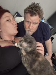 Reunited Female Cat last seen Near Keystone Street Philadelphia pa, Philadelphia, PA 19135