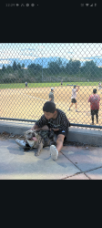 Reunited Male Dog last seen Near W Trinity Ave, West Valley UT, West Valley City, UT 84120