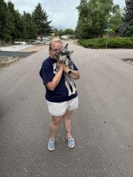 Reunited Female Dog last seen Academy Blvd & Brookwood, Colorado Springs, CO 80918