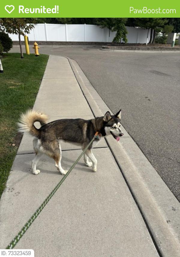 Reunited Male Dog last seen Lawson and Sylvan, Saint Paul, MN 55117