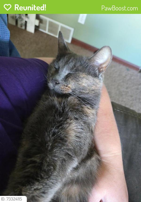 Reunited Female Cat last seen Danielson Street, Waterford, WI 53185
