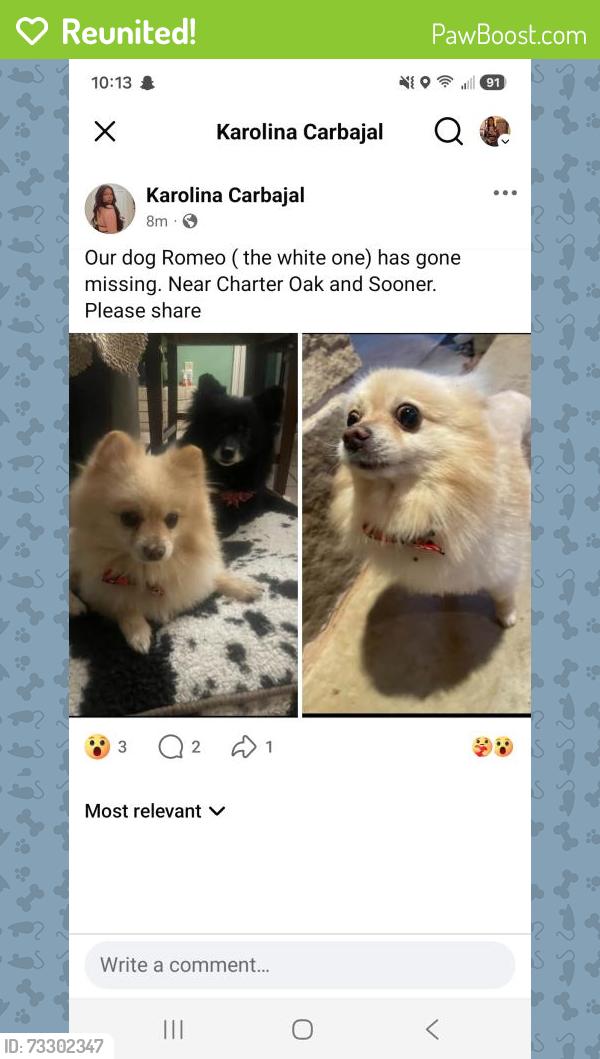 Reunited Male Dog last seen Sooner and charter Oak, Logan County, OK 73034
