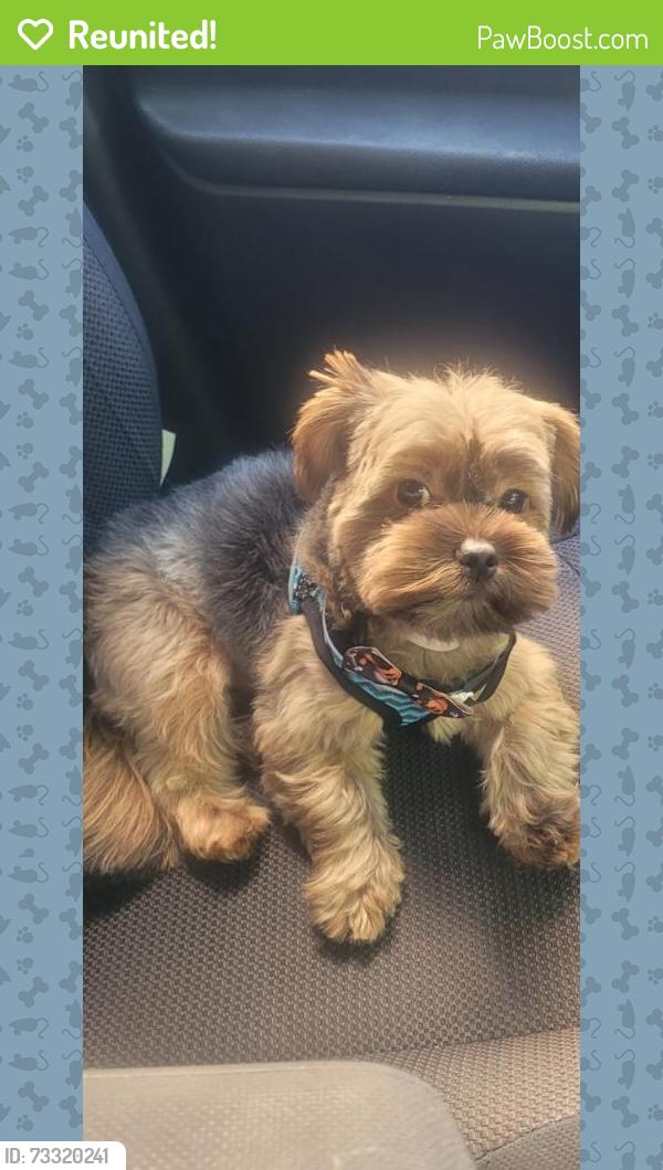 Reunited Male Dog last seen Irvine Turner Blvd, Newark, NJ 07103