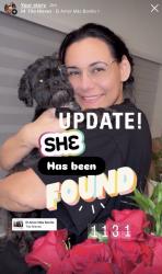 Reunited Female Dog last seen NE 15th Ter & Diplomat Pkwy, Cape Coral, FL 33909