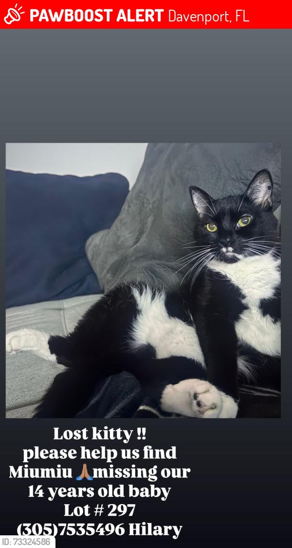 Lost Female Cat last seen Near Highway 27 Davenport FL 33897 United States, Davenport, FL 33897
