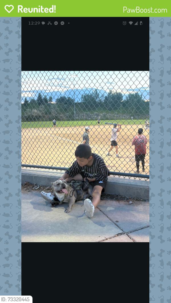 Reunited Male Dog last seen Near W Trinity Ave, West Valley UT, West Valley City, UT 84120