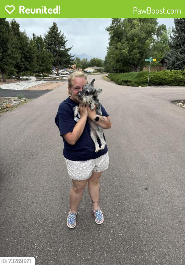 Reunited Female Dog last seen Academy Blvd & Brookwood, Colorado Springs, CO 80918