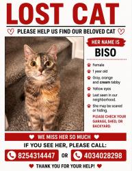 Lost Female Cat last seen Herron Landing NE, Calgary, AB 