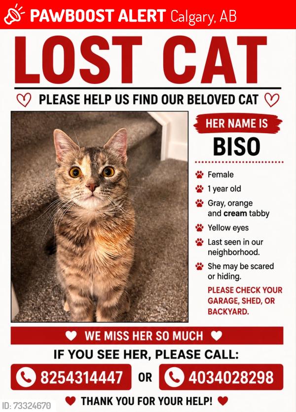 Lost Female Cat last seen Herron Landing NE, Calgary, AB 