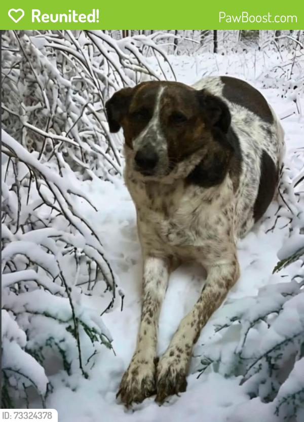 Reunited Male Dog last seen Aldridge rd and huff road, Archdale, NC 27263