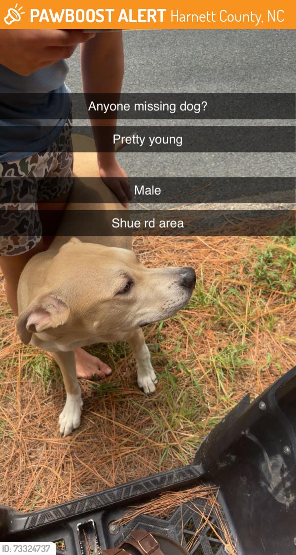 Found/Stray Male Dog last seen Near thr top, Harnett County, NC 27505