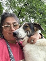 Reunited Female Dog last seen Nursery rd, Lillington, NC 27546