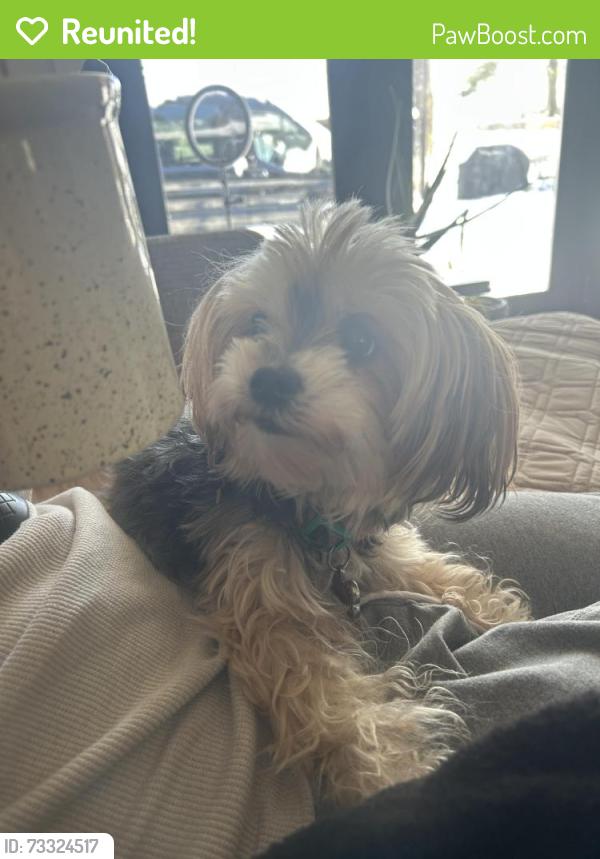 Reunited Female Dog last seen Little Creek Church Rd, Clayton, NC 27520
