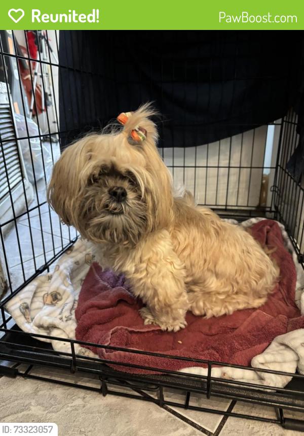 Reunited Unknown Dog last seen McNab Street & SW 6th Ave, Pompano Beach, FL 33060