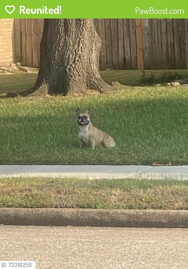 Reunited Male Dog last seen Near Driftwood and Birch Dr, La Porte, TX 77571
