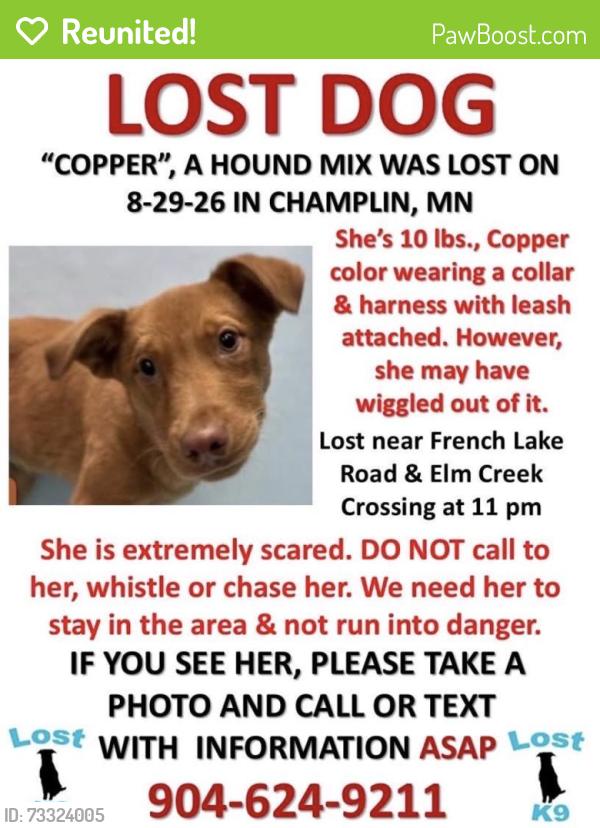 Reunited Female Dog last seen French Lake Rd, Champlin, MN, USA, Champlin, MN 55316
