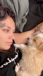 Lost Female Dog last seen warwick, Desert Hot Springs, CA 92240