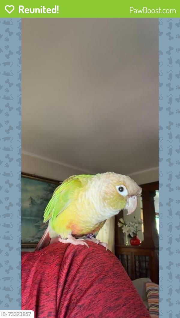 Reunited Female Bird last seen Bond & Clark street, Hillside, NJ 07112