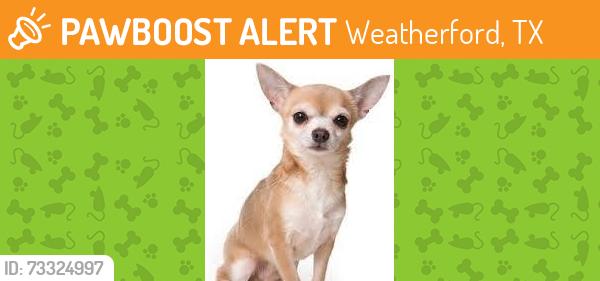 Found/Stray Male Dog last seen Sherry Trl, Weatherford, TX 76086