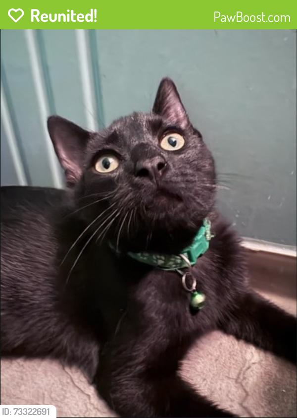Reunited Unknown Cat last seen Madison Ave and Kitchener st, Burnaby, BC V5C 3M5