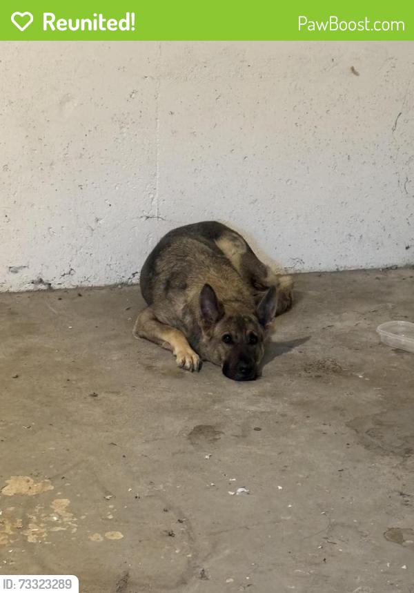 Reunited Unknown Dog last seen Killingsworth St, Portland, OR 97218
