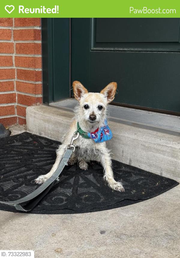 Reunited Male Dog last seen South drive & Ryan drive, Allentown, PA 18103