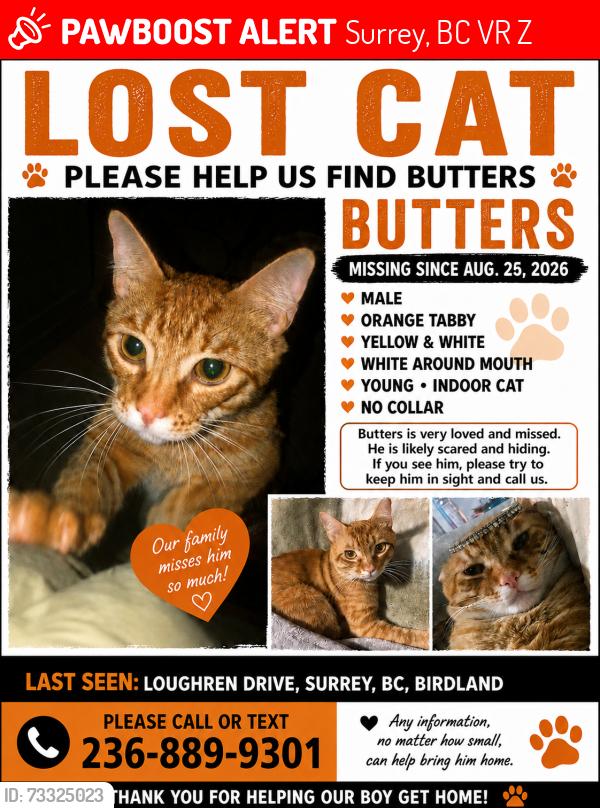 Lost Male Cat last seen Loughren Dr & Ayr Dr, Surrey, BC, Birdland, Surrey, BC V3R 4Z4