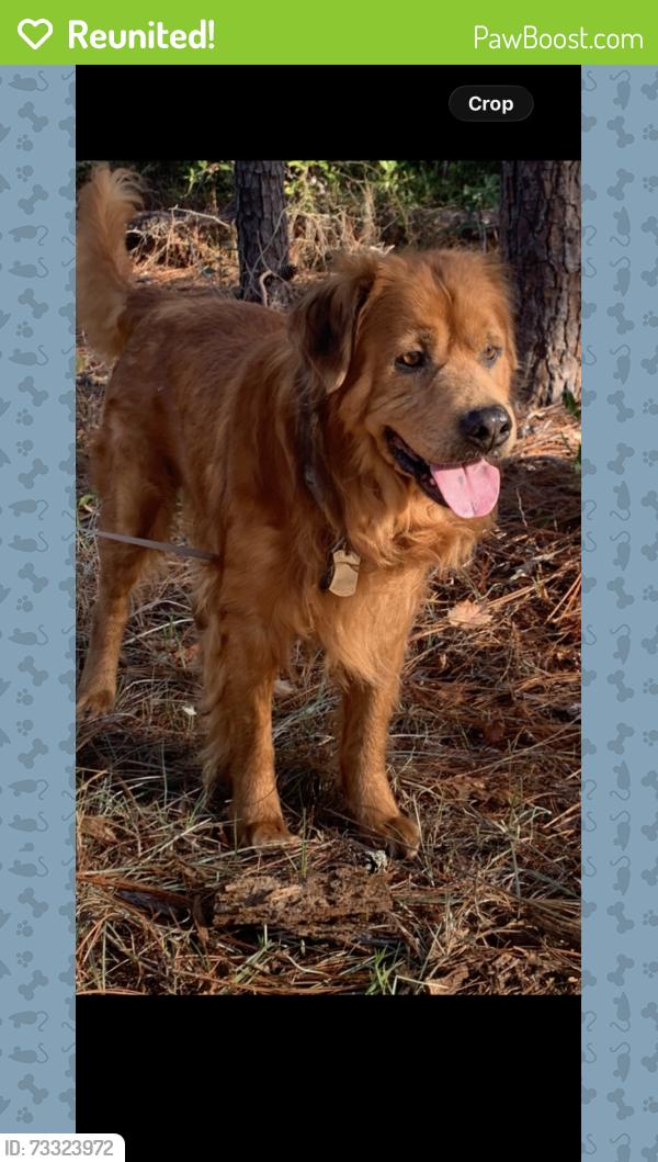 Reunited Male Dog last seen Arbor ridge, Sacramento, CA 95842