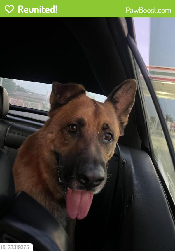 Reunited Male Dog last seen E Maplegrove street, and Aileron ave, La Puente, CA 91744