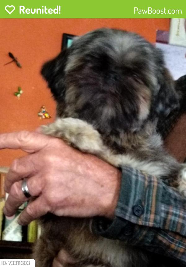 Reunited Female Dog last seen juliet mott park, Flint, MI 48502