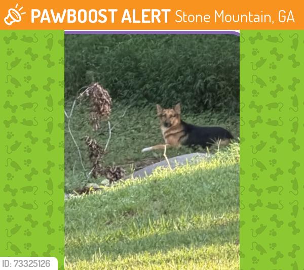 Found/Stray Unknown Dog last seen West entrance of Stone Mountain park, Stone Mountain, GA 30083