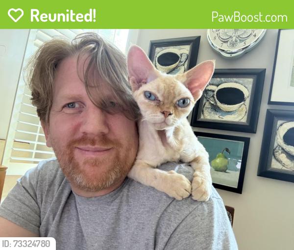 Reunited Female Cat last seen Barnes and Pine, McKinney, TX 75069